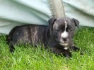 4 Weeks